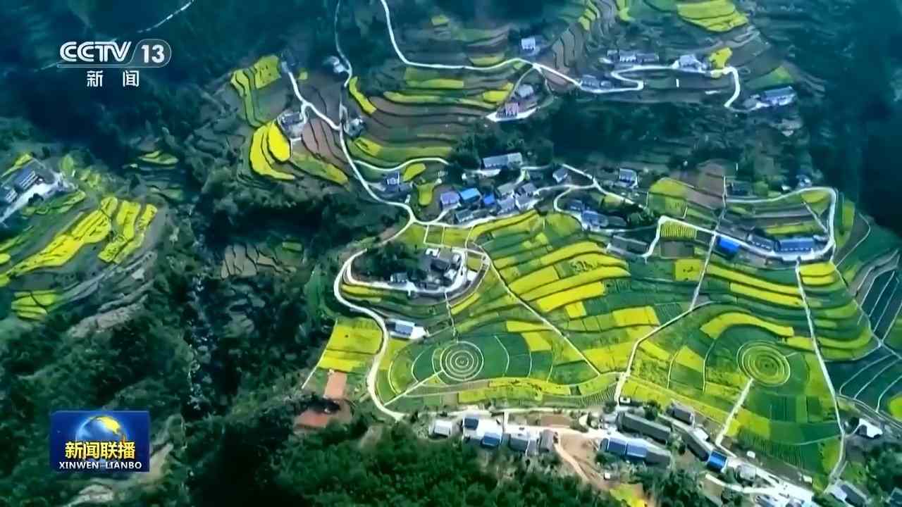 感知生态之变丨我国成为全球增绿最多最快的国家 感知生态之变丨我国成为全球增绿最多最快的国家