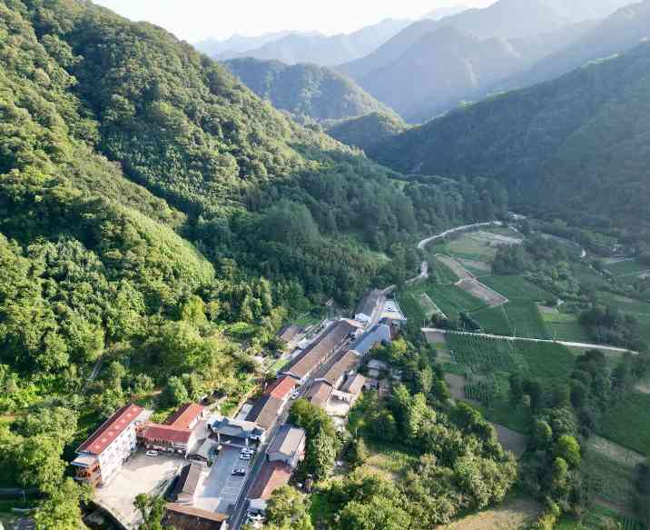 陕西佛坪保护区“熊猫村”：厚植绿色发展家底 尽享生态保护红利
