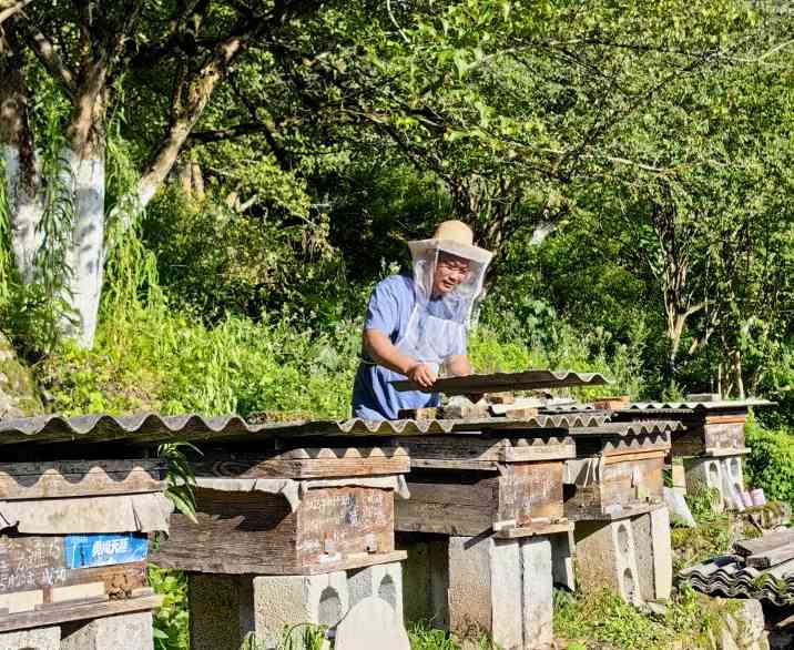 陕西佛坪保护区“熊猫村”：厚植绿色发展家底 尽享生态保护红利