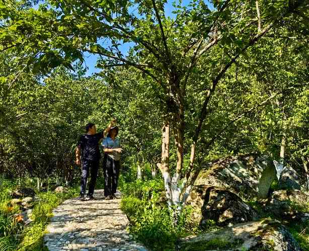 陕西佛坪保护区“熊猫村”：厚植绿色发展家底 尽享生态保护红利