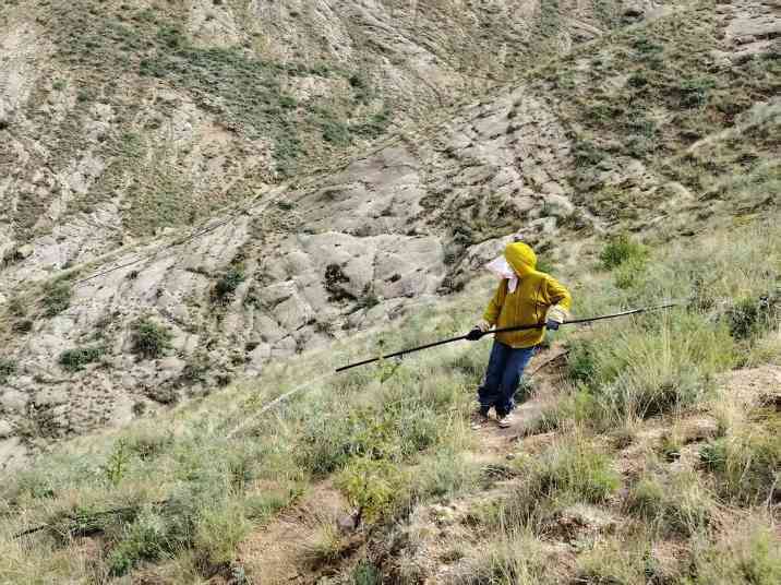 青山志：拉萨南北山的绿色答卷