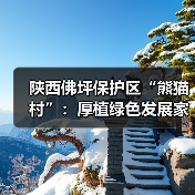 陕西佛坪保护区“熊猫村”:厚植绿色发展家底 尽享生态保护红利(图4) 陕西佛坪保护区“熊猫村”:厚植绿色发展家底 尽享生态保护红利(图4)
