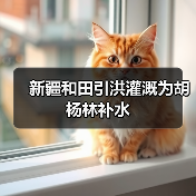 新疆和田引洪灌溉为胡杨林补水(图2) 新疆和田引洪灌溉为胡杨林补水(图2)