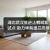 湖北武汉推进法桐减絮试点 助力林荫道品质提升(图1) 湖北武汉推进法桐减絮试点 助力林荫道品质提升(图1)