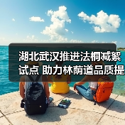 湖北武汉推进法桐减絮试点 助力林荫道品质提升(图2) 湖北武汉推进法桐减絮试点 助力林荫道品质提升(图2)