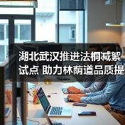 湖北武汉推进法桐减絮试点 助力林荫道品质提升(图4) 湖北武汉推进法桐减絮试点 助力林荫道品质提升(图4)