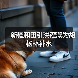 新疆和田引洪灌溉为胡杨林补水(图3) 新疆和田引洪灌溉为胡杨林补水(图3)