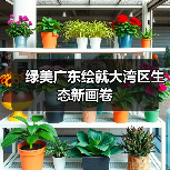 绿美广东绘就大湾区生态新画卷(图4) 绿美广东绘就大湾区生态新画卷(图4)
