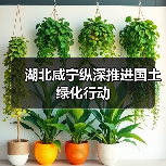 湖北咸宁纵深推进国土绿化行动(图3) 湖北咸宁纵深推进国土绿化行动(图3)