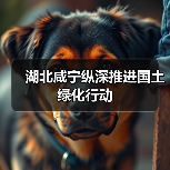 湖北咸宁纵深推进国土绿化行动(图1) 湖北咸宁纵深推进国土绿化行动(图1)