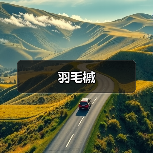 羽毛槭（图4）