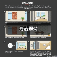 丹麦翠菊（图4）