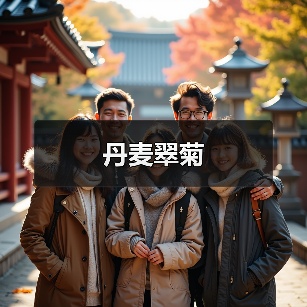 丹麦翠菊（图1）