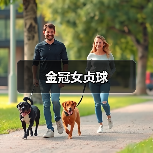 金冠女贞球（图4）