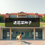 诸葛菜种子（图2）