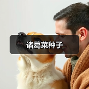诸葛菜种子(图3) 诸葛菜种子(图3)