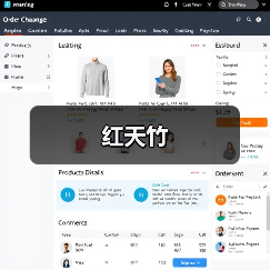 红天竹（图1）