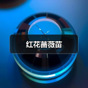 红花蔷薇苗（图1）