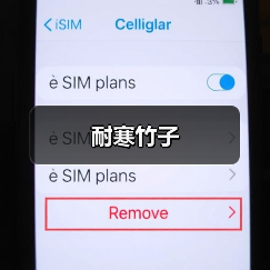 耐寒竹子(图4) 耐寒竹子(图4)