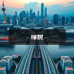 榉树（图1）