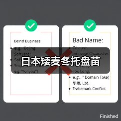 日本矮麦冬托盘苗（图4）