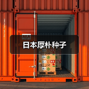 日本厚朴种子（图4）