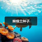 蝴蝶兰种子（图1）