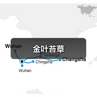 金叶苔草（图2）