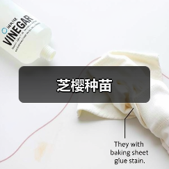 芝樱种苗（图3）