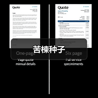苦楝种子（图2）