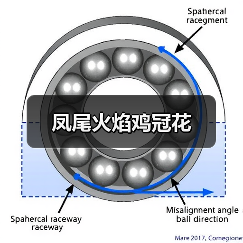 凤尾火焰鸡冠花(图4) 凤尾火焰鸡冠花(图4)