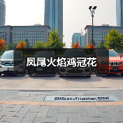 凤尾火焰鸡冠花(图1) 凤尾火焰鸡冠花(图1)