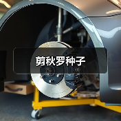 剪秋罗种子(图1) 剪秋罗种子(图1)