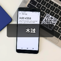 木贼(图3) 木贼(图3)