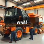 羽毛槭（图2）