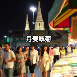 丹麦翠菊（图2）