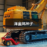 洋金凤种子(图4) 洋金凤种子(图4)