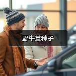 野牛草种子(图1) 野牛草种子(图1)