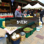 梦花树（图1）