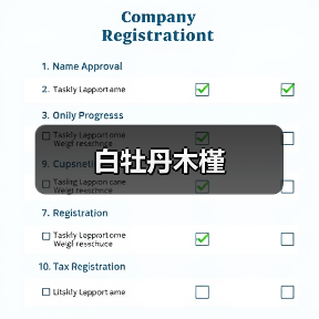白牡丹木槿(图1) 白牡丹木槿(图1)