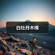 白牡丹木槿(图2) 白牡丹木槿(图2)