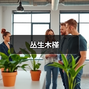 丛生木槿（图1）
