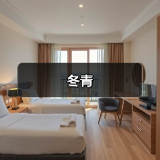 冬青（图1）