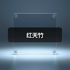 红天竹（图2）