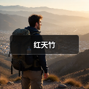 红天竹(图4) 红天竹(图4)