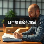日本矮麦冬托盘苗（图2）