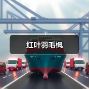 红叶羽毛枫(图4) 红叶羽毛枫(图4)