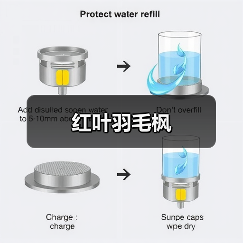 红叶羽毛枫（图1）