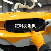 红叶羽毛枫（图2）