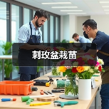 刺玫盆栽苗（图4）